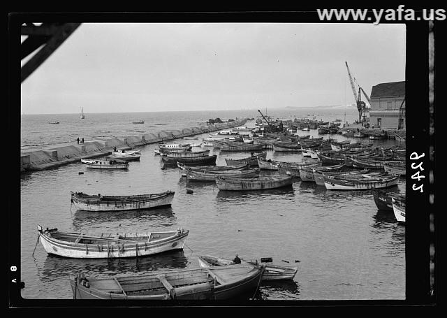 ميناء يافا اثناء اضراب 1936